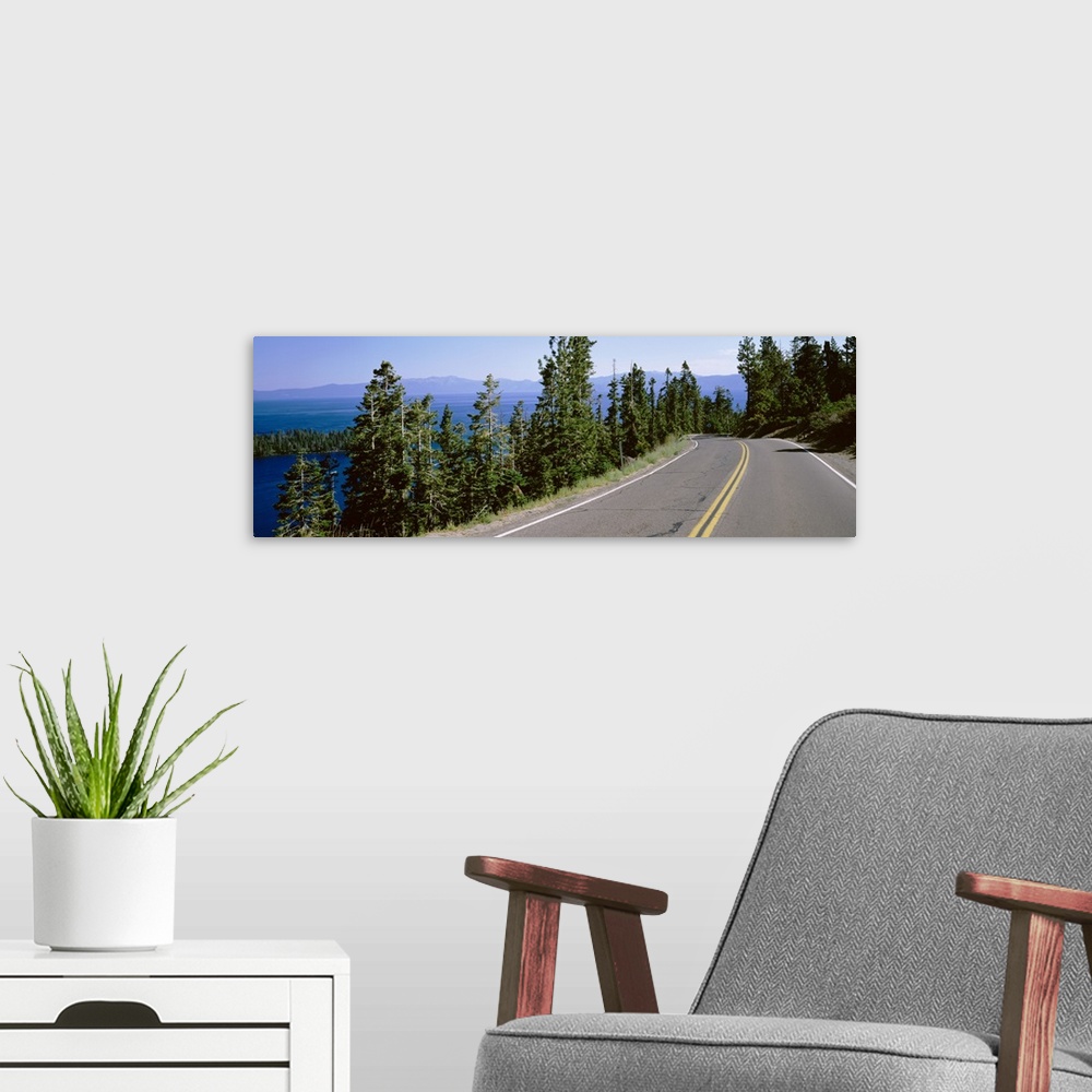 A modern room featuring Pine trees on both sides of Highway 89, Lake Tahoe, California