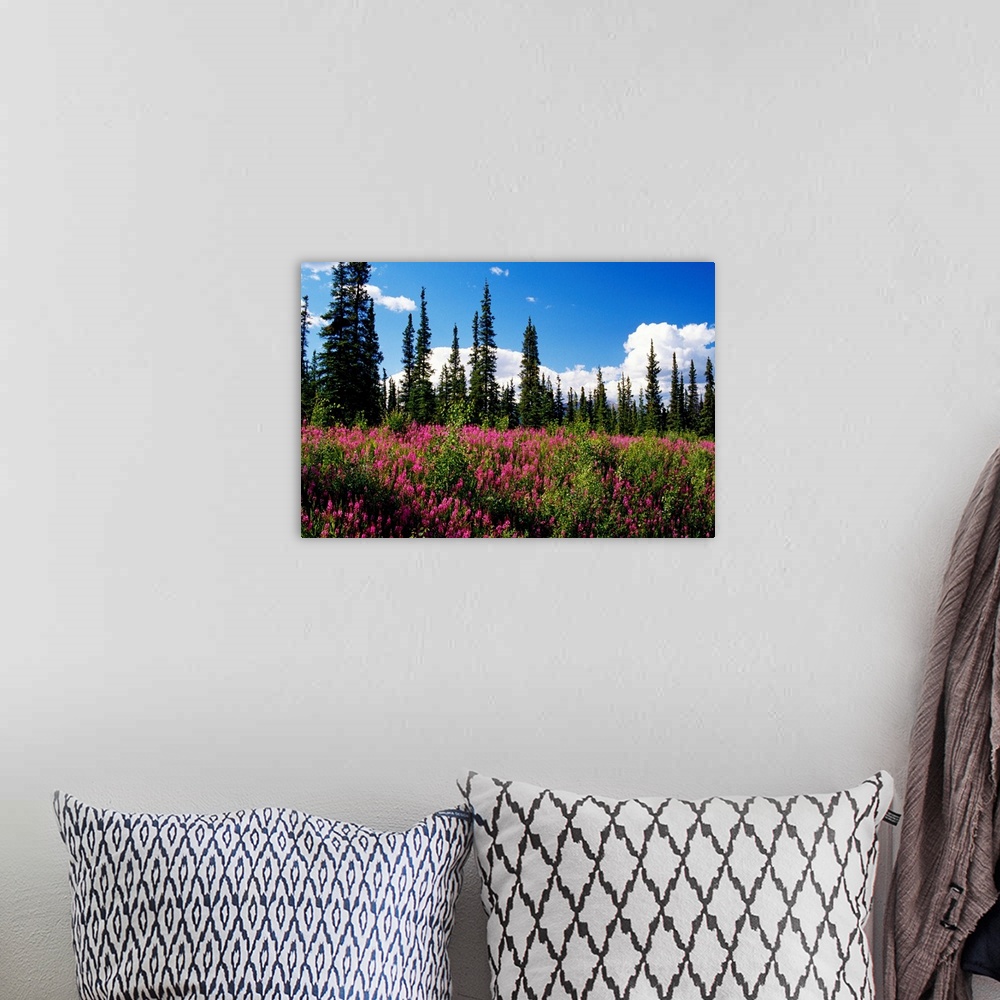 A bohemian room featuring Landscape photograph of wildflowers growing in a meadow on a clear day.