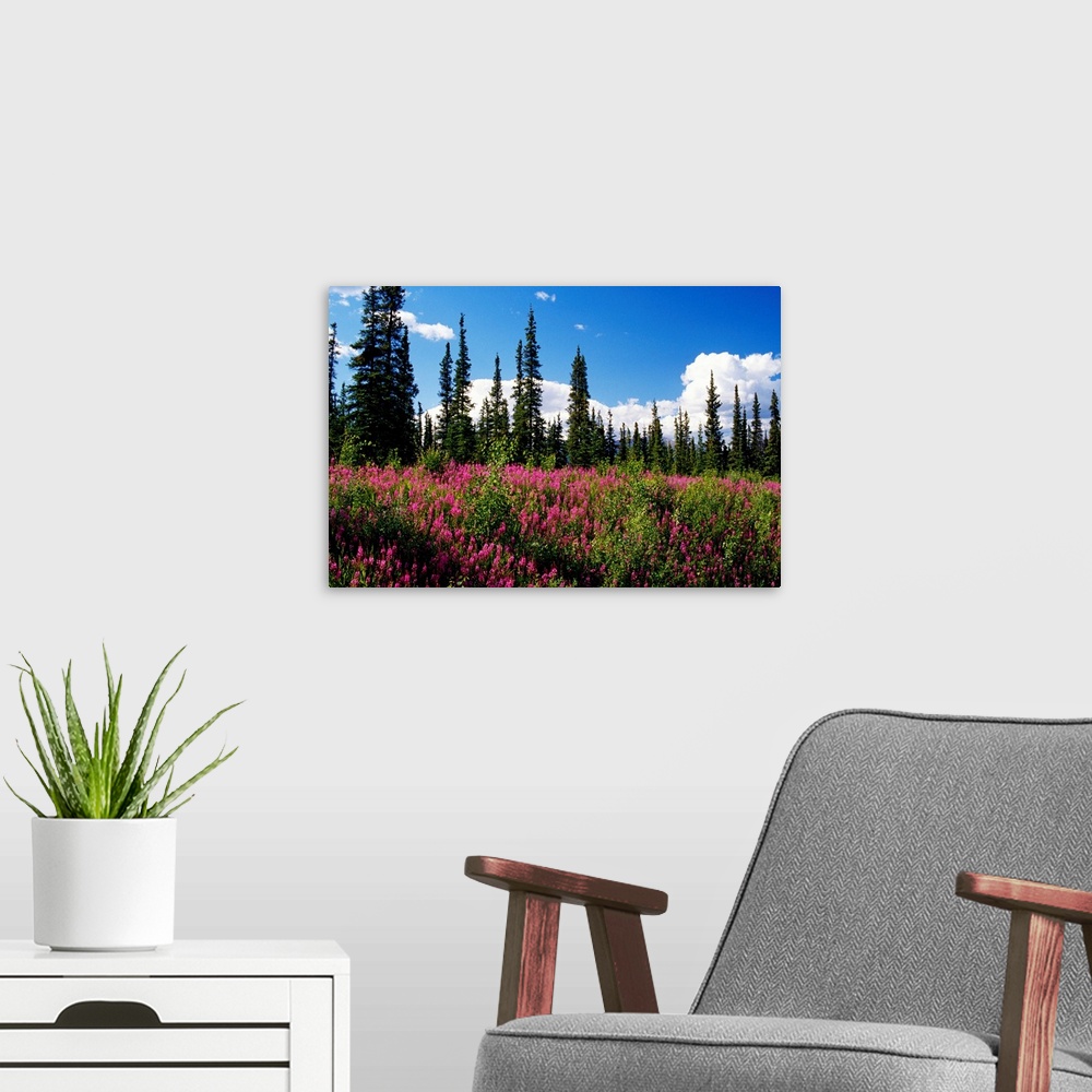 A modern room featuring Landscape photograph of wildflowers growing in a meadow on a clear day.