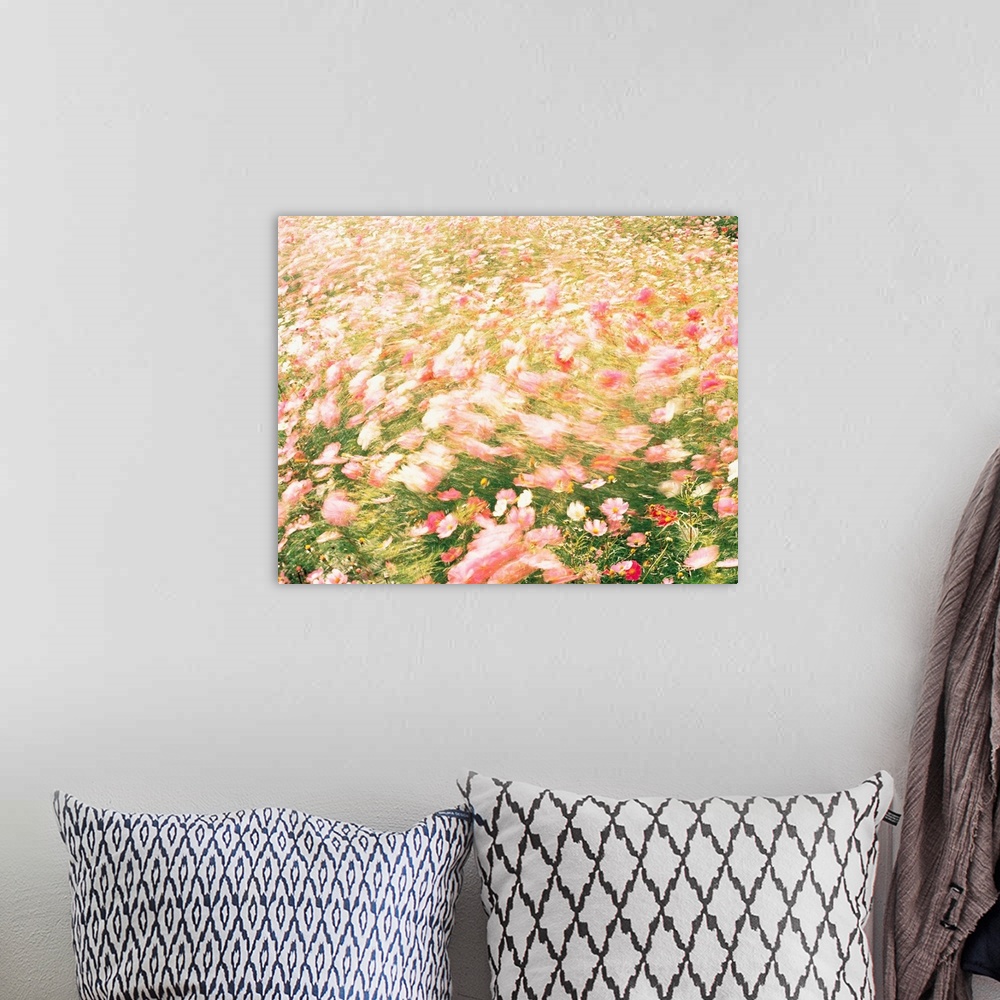 A bohemian room featuring Pink wildflower meadow in breeze