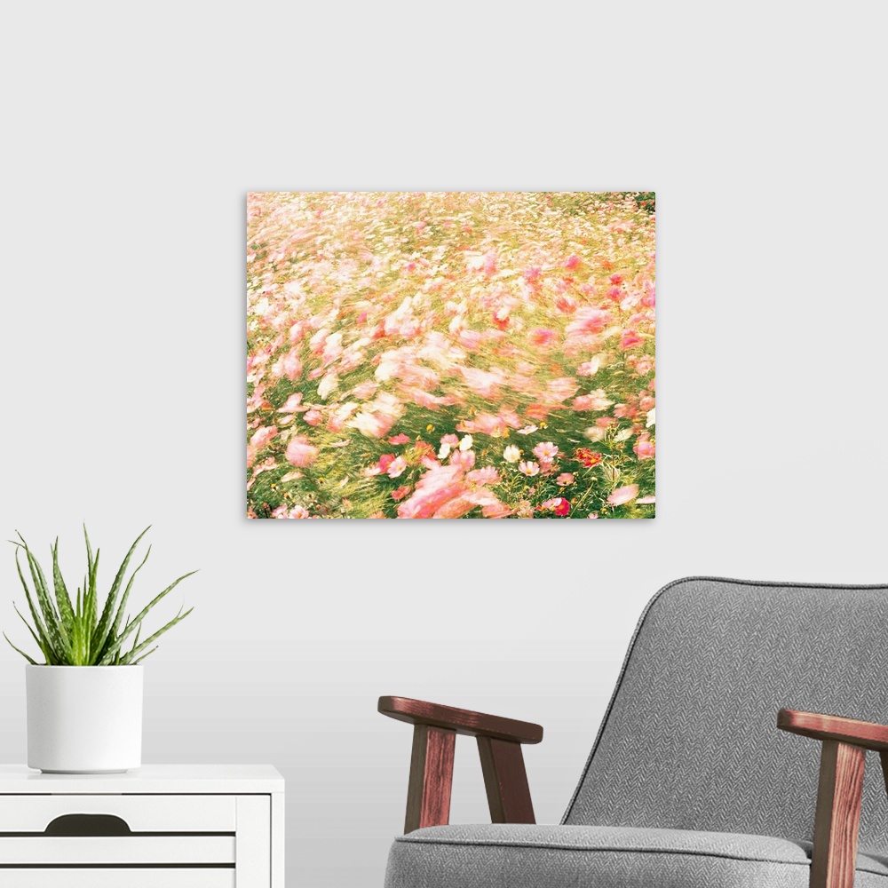 A modern room featuring Pink wildflower meadow in breeze