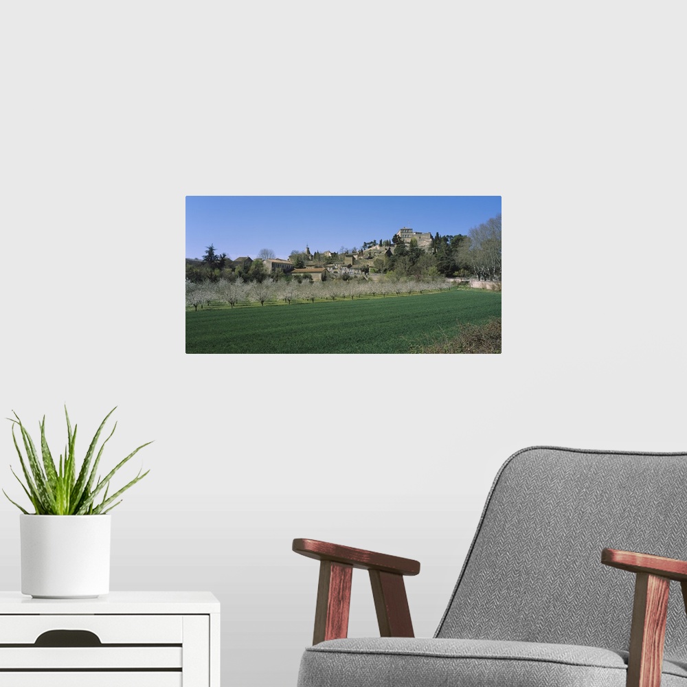 A modern room featuring Plants in a field near a town, Ansouis, Luberon, France
