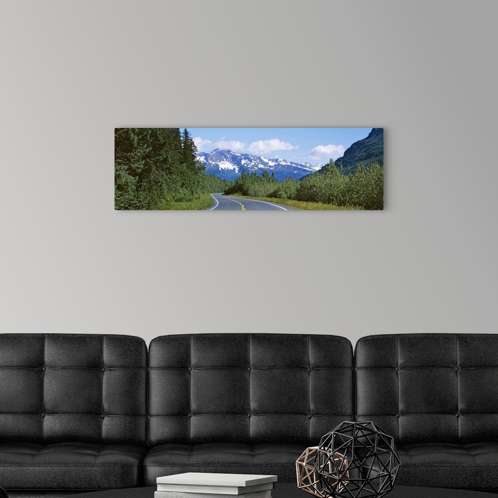 A modern room featuring Plants on both sides of a road, Glacier Road, Kenai Mountains, Kenai Peninsula, Seward, Alaska