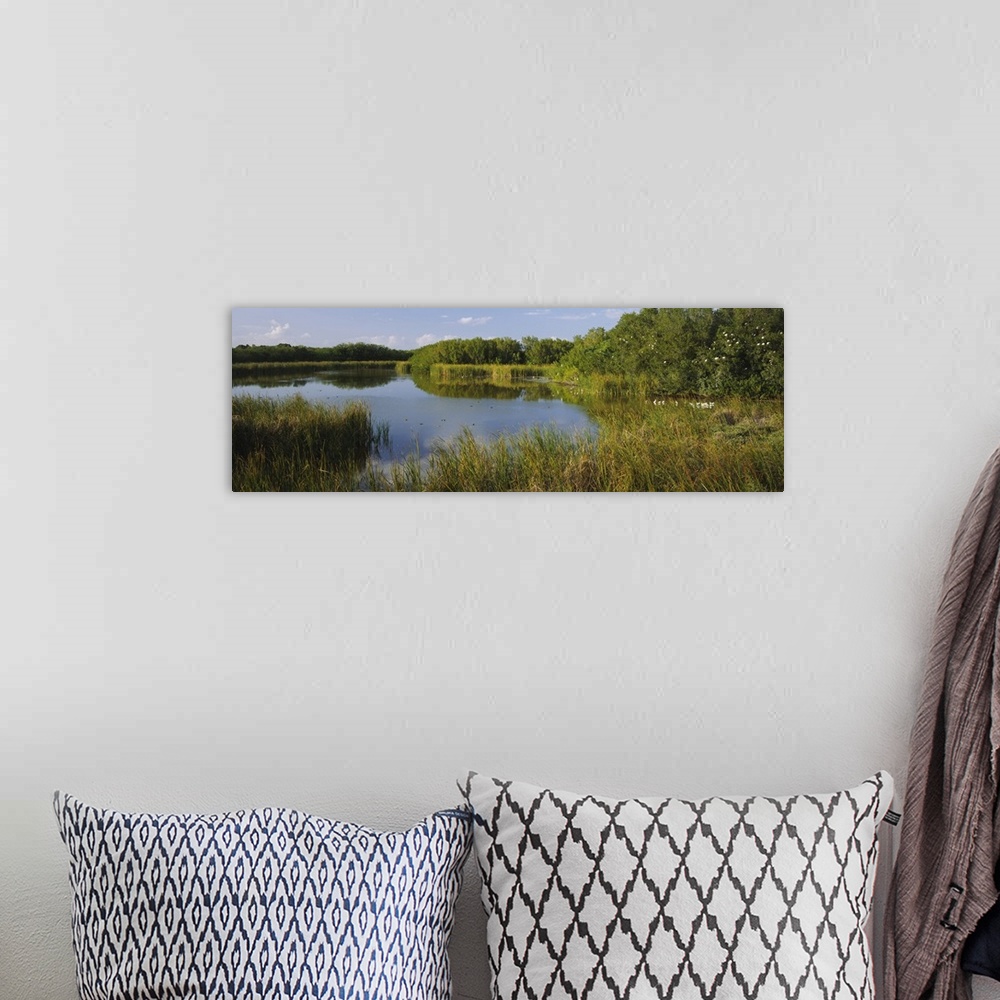 A bohemian room featuring Pond in a forest, Eco Pond, Flamingo CampGround, Everglades National Park, Florida