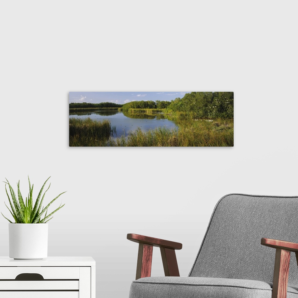 A modern room featuring Pond in a forest, Eco Pond, Flamingo CampGround, Everglades National Park, Florida