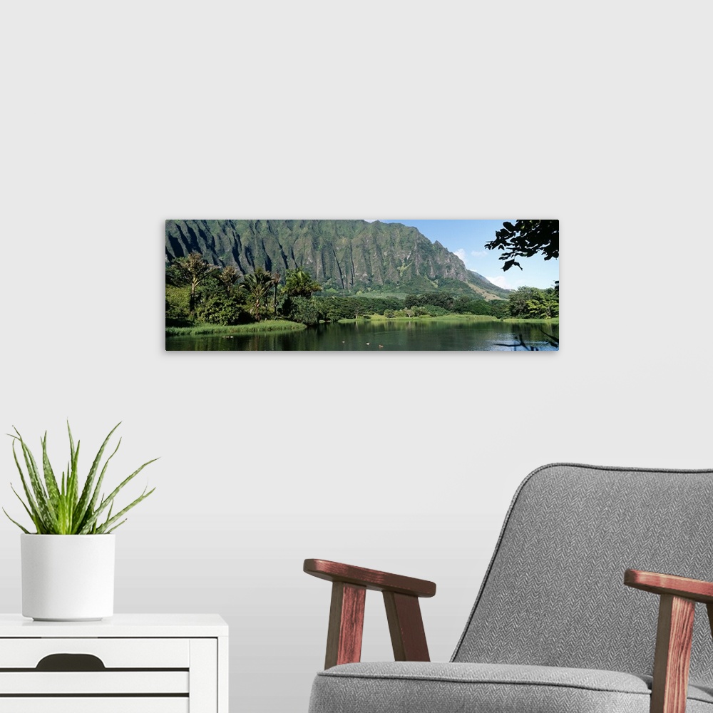 A modern room featuring Mountains overlooking ducks in a lagoon at the Hoomaluhia Botanical Garden in Kaneohe, Hawaii.