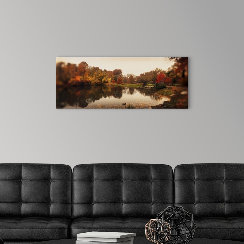 A modern room featuring Pond in a park Central Park Manhattan New York City New York State