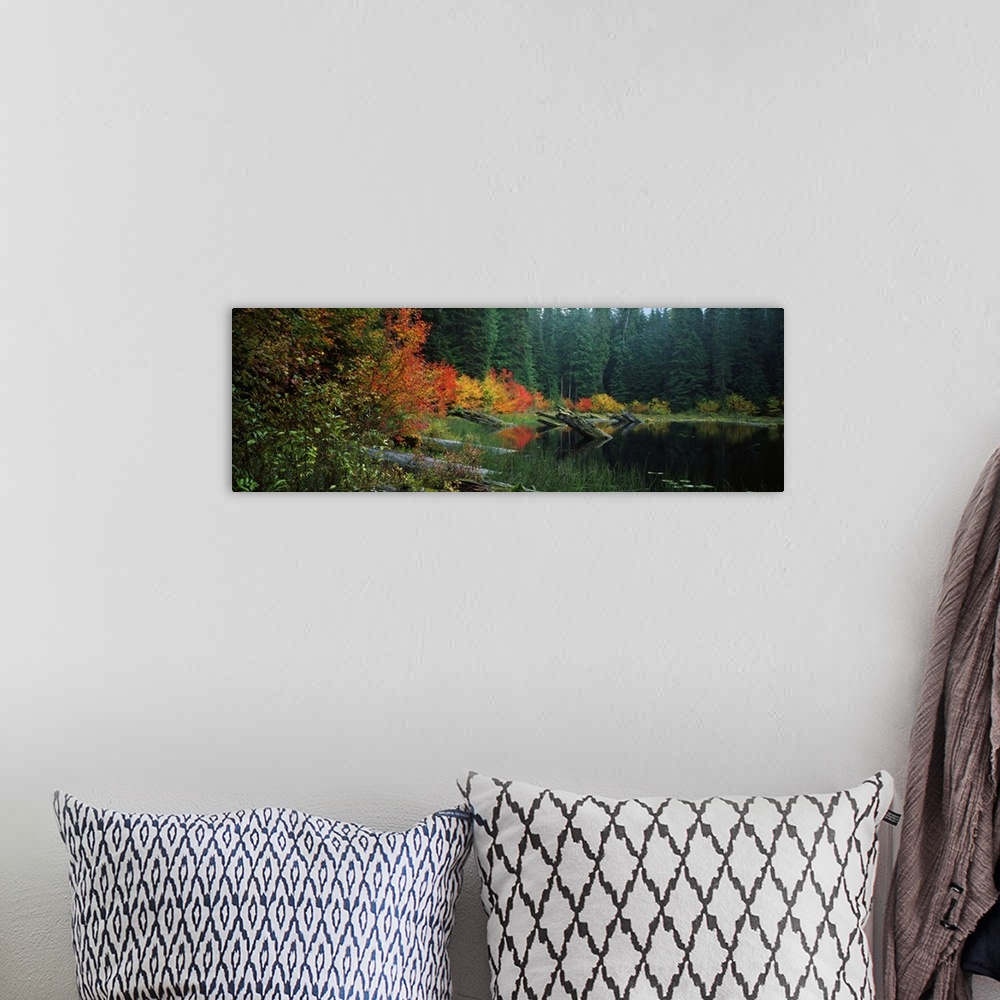 A bohemian room featuring Landscape photograph on a big wall hanging of a pond with large logs protruding from the water, s...