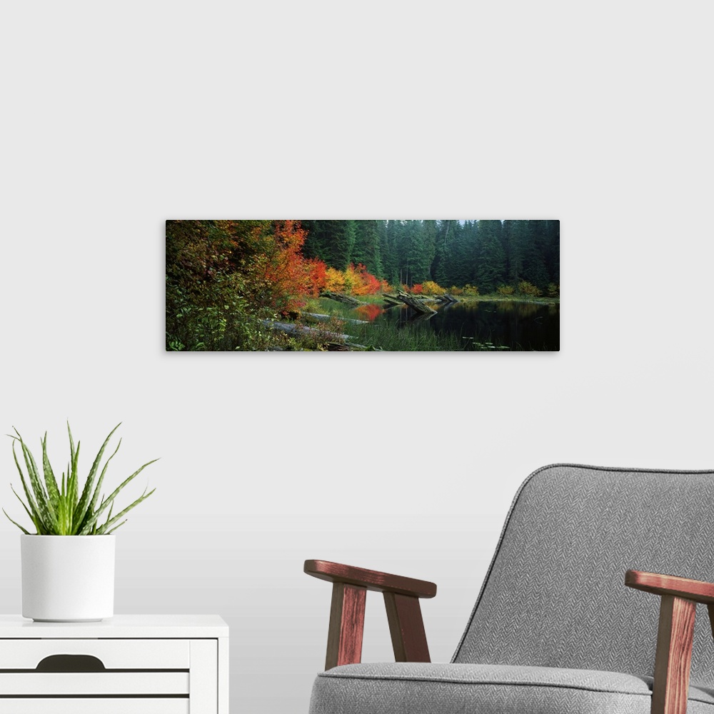 A modern room featuring Landscape photograph on a big wall hanging of a pond with large logs protruding from the water, s...