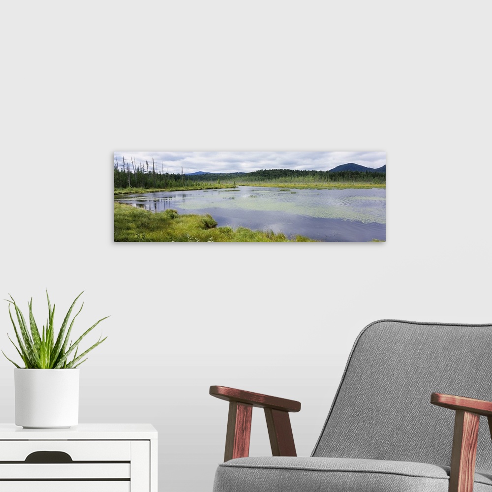 A modern room featuring Pond in the forest, Barnum Pond, Adirondack State Park, Adirondack Mountains, New York State