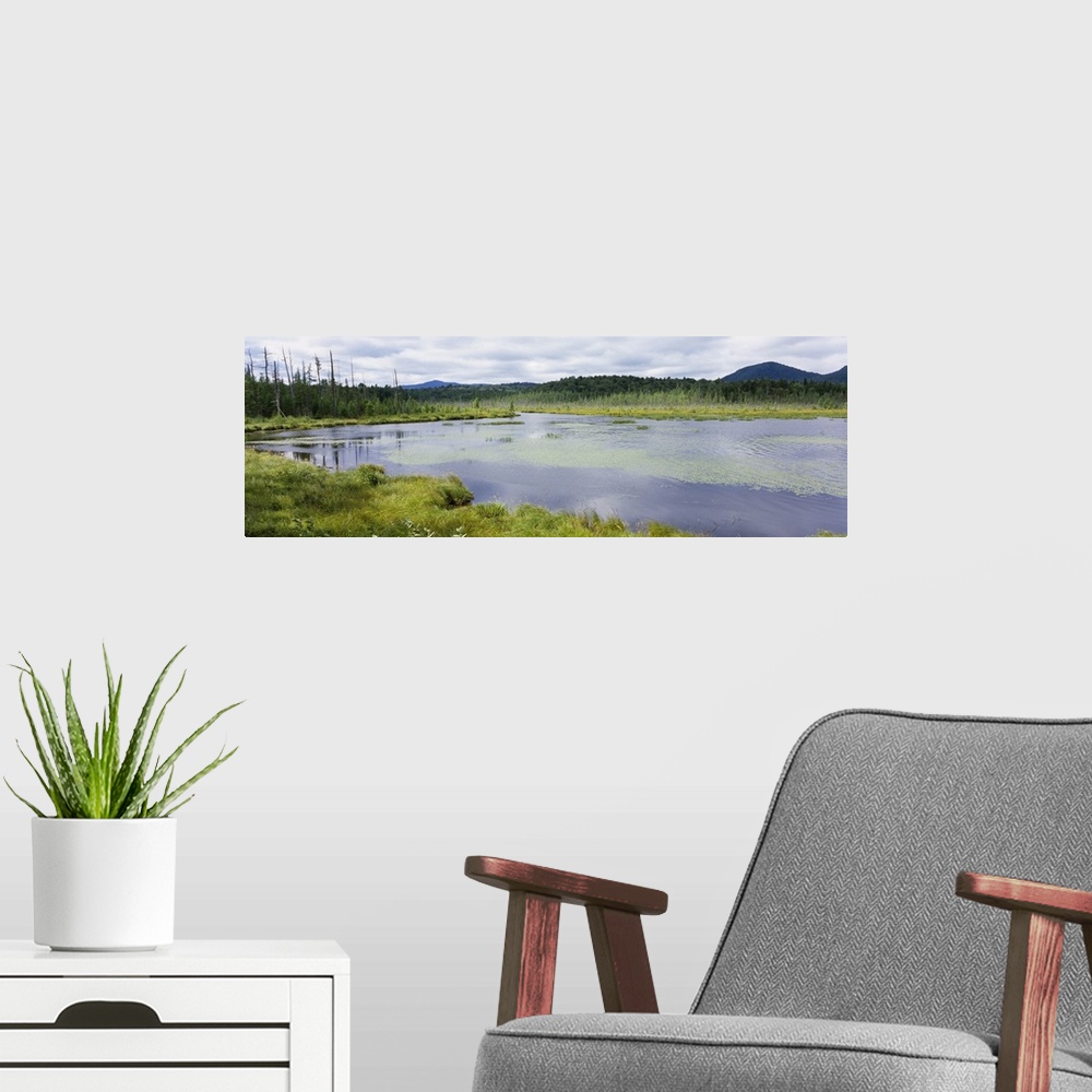A modern room featuring Pond in the forest, Barnum Pond, Adirondack State Park, Adirondack Mountains, New York State