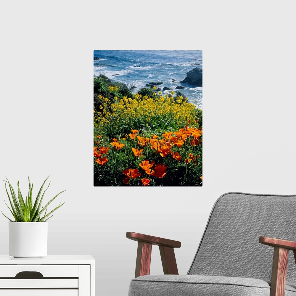 A modern room featuring Vertical photograph of florals growing on the top of a cliff overlooking the sea.