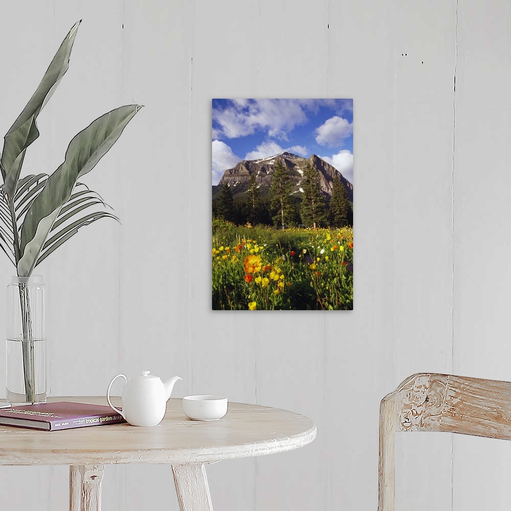A farmhouse room featuring Poppies and wildflowers blooming in front of mountain peak, Alberta, Canada.