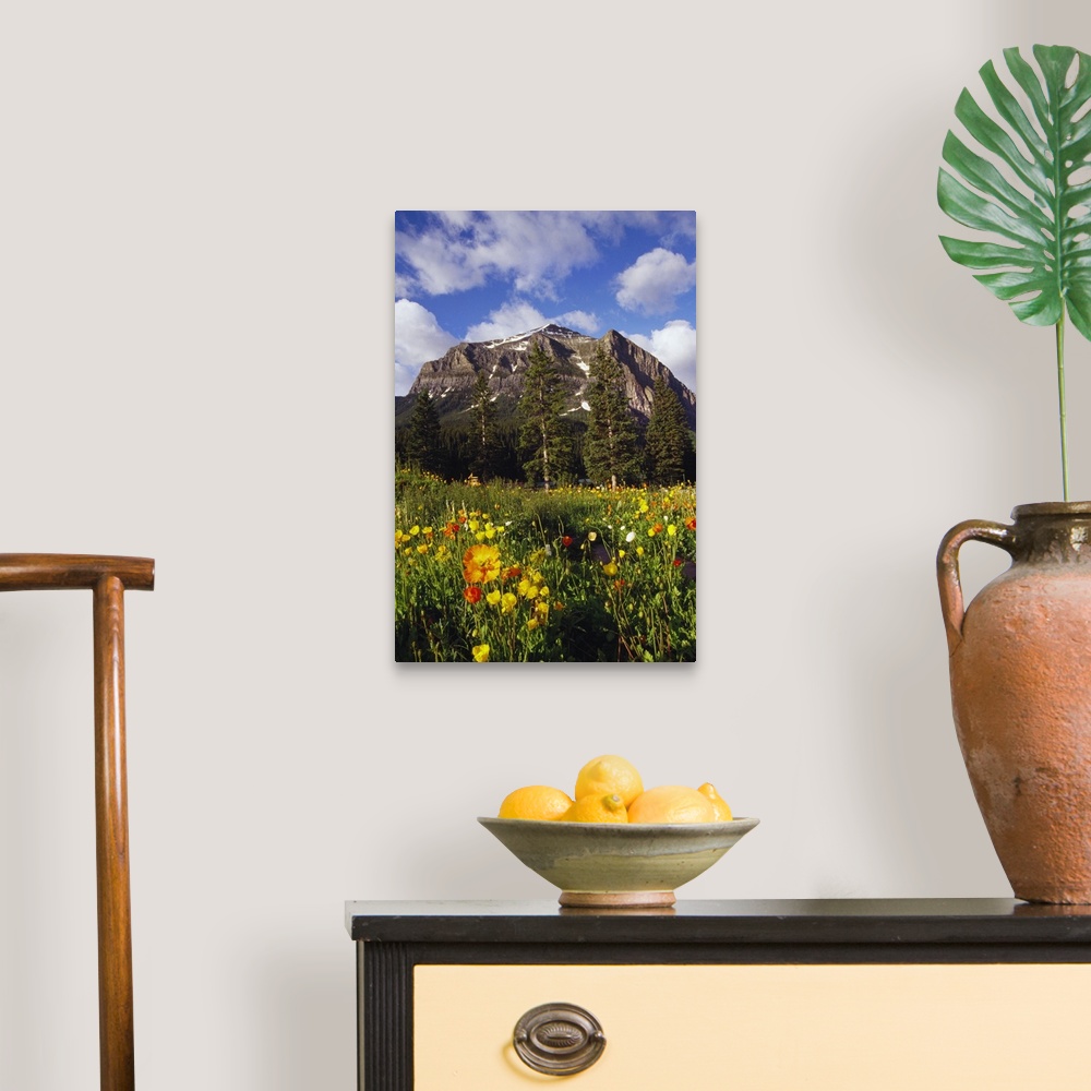 A traditional room featuring Poppies and wildflowers blooming in front of mountain peak, Alberta, Canada.