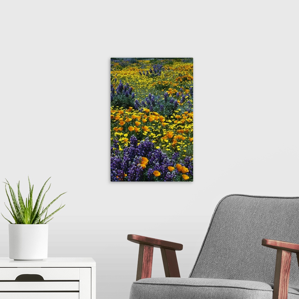 A modern room featuring Tall canvas of a brightly colored field of flowers.