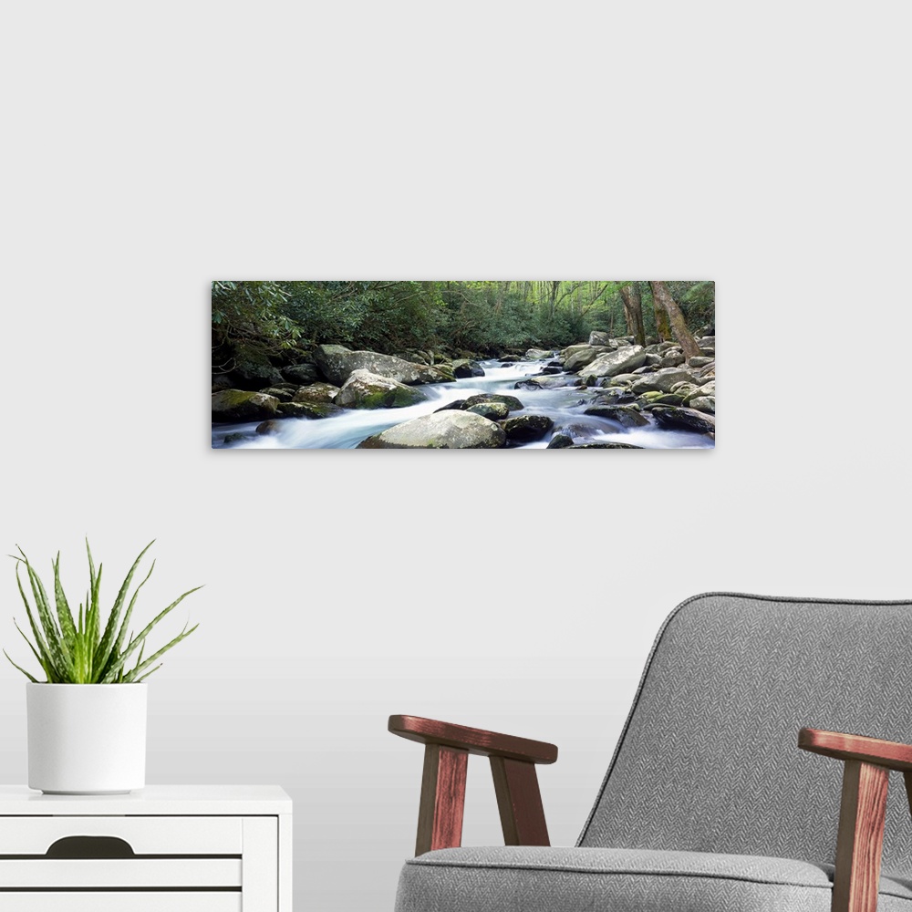 A modern room featuring Wide angle photograph of rocky Porter creek rushing through a dense forest of greenery and trees ...