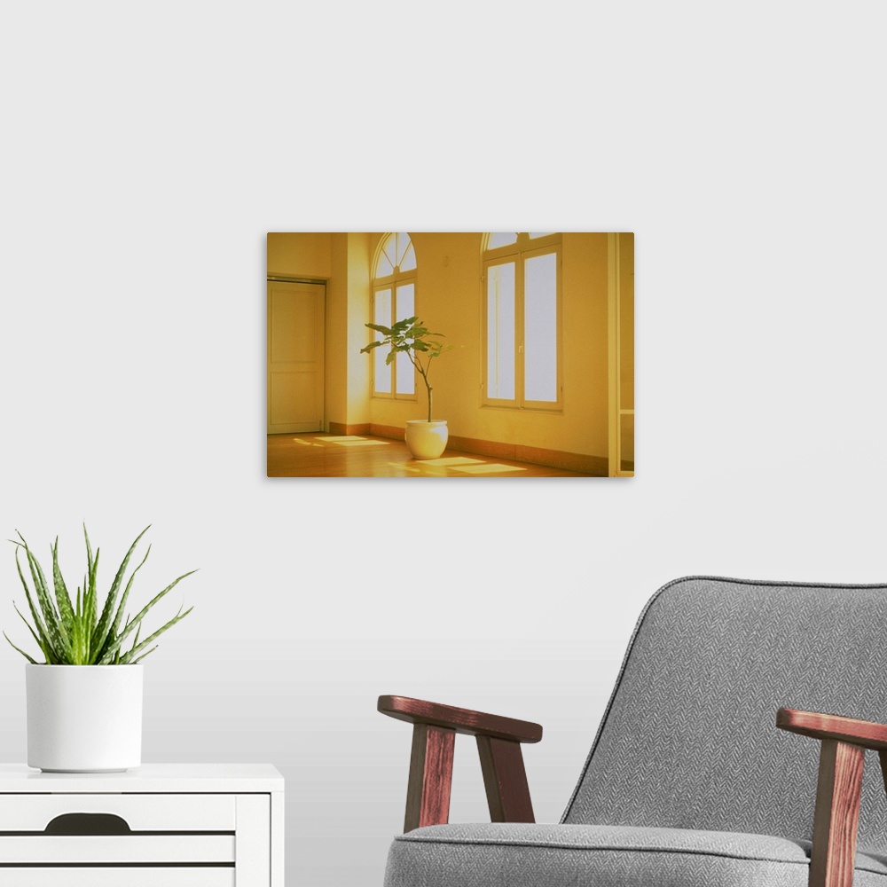 A modern room featuring Potted plant in the interior of house