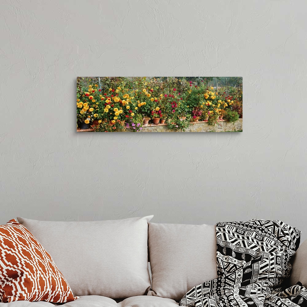 A bohemian room featuring Panoramic photograph displays a row of colorful flowers in an assortment of pots sitting on top o...