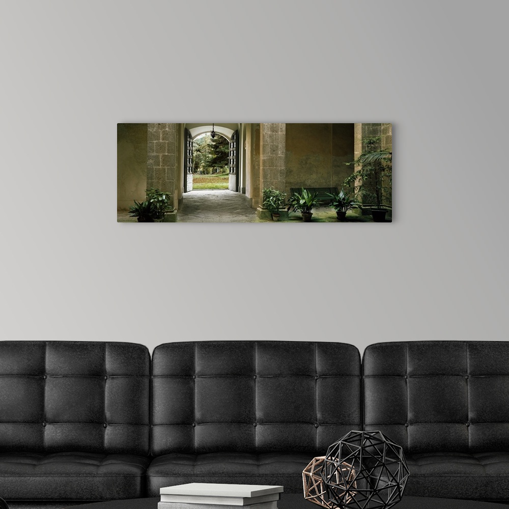 A modern room featuring Panoramic photograph of arched entryway lined with house plants.