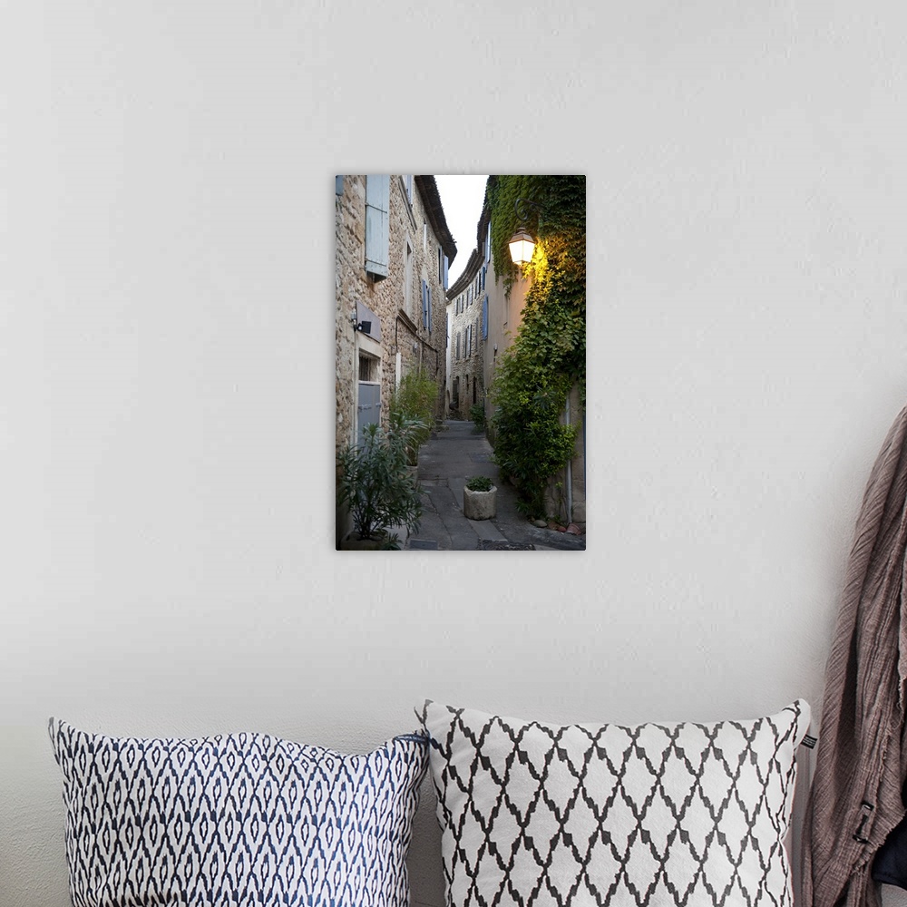 A bohemian room featuring Potted plants on the street, Luberon, Vaucluse, France
