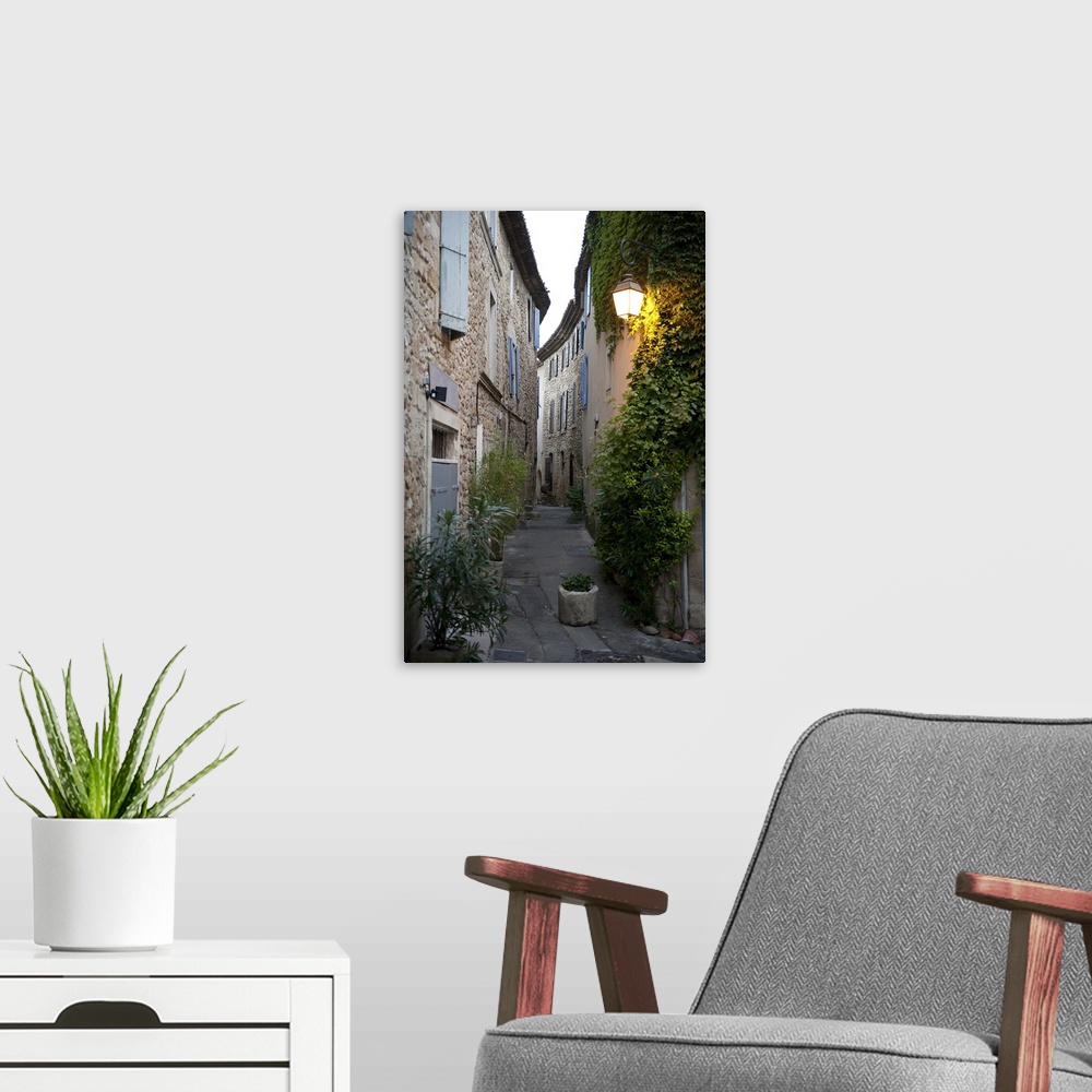 A modern room featuring Potted plants on the street, Luberon, Vaucluse, France