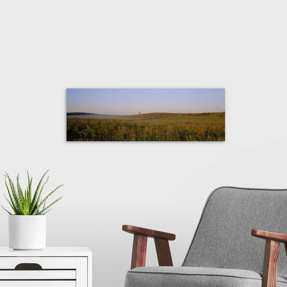 A modern room featuring Prairie Grass Nachusa Grassland Lee County IL