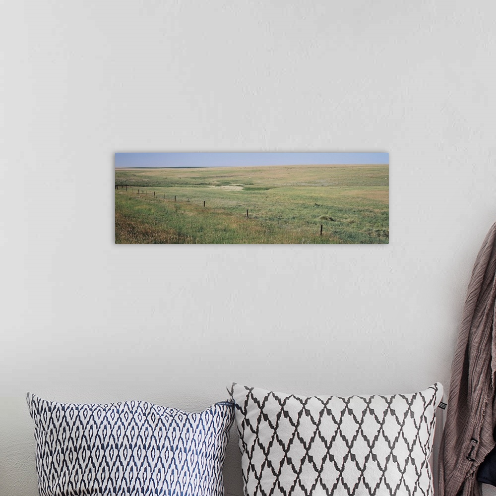 A bohemian room featuring Prairie grass on a landscape, Kearney County, Nebraska