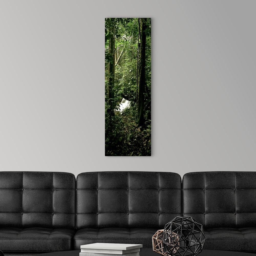 A modern room featuring President Figueiredo Rain Forest Amazon Brazil