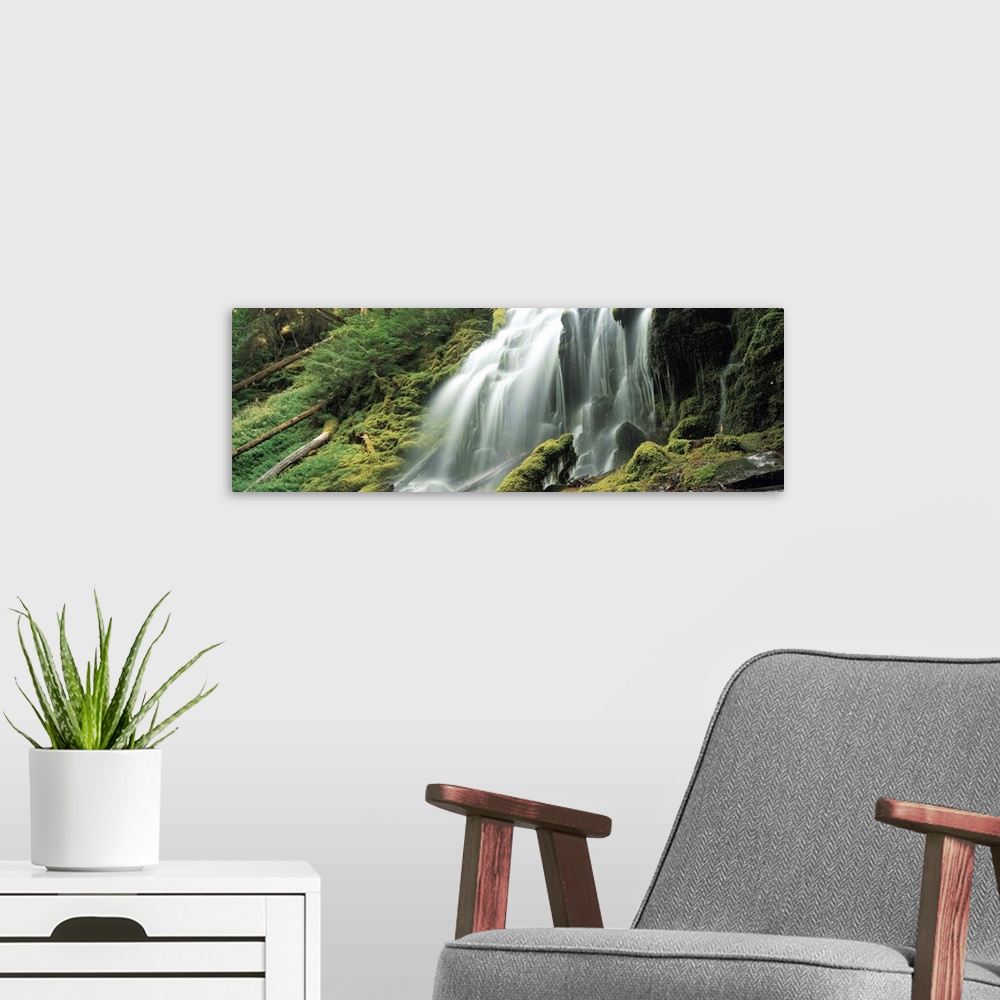 A modern room featuring Proxy Falls, Three Sisters Wilderness Area, Willamette National Forest, Oregon
