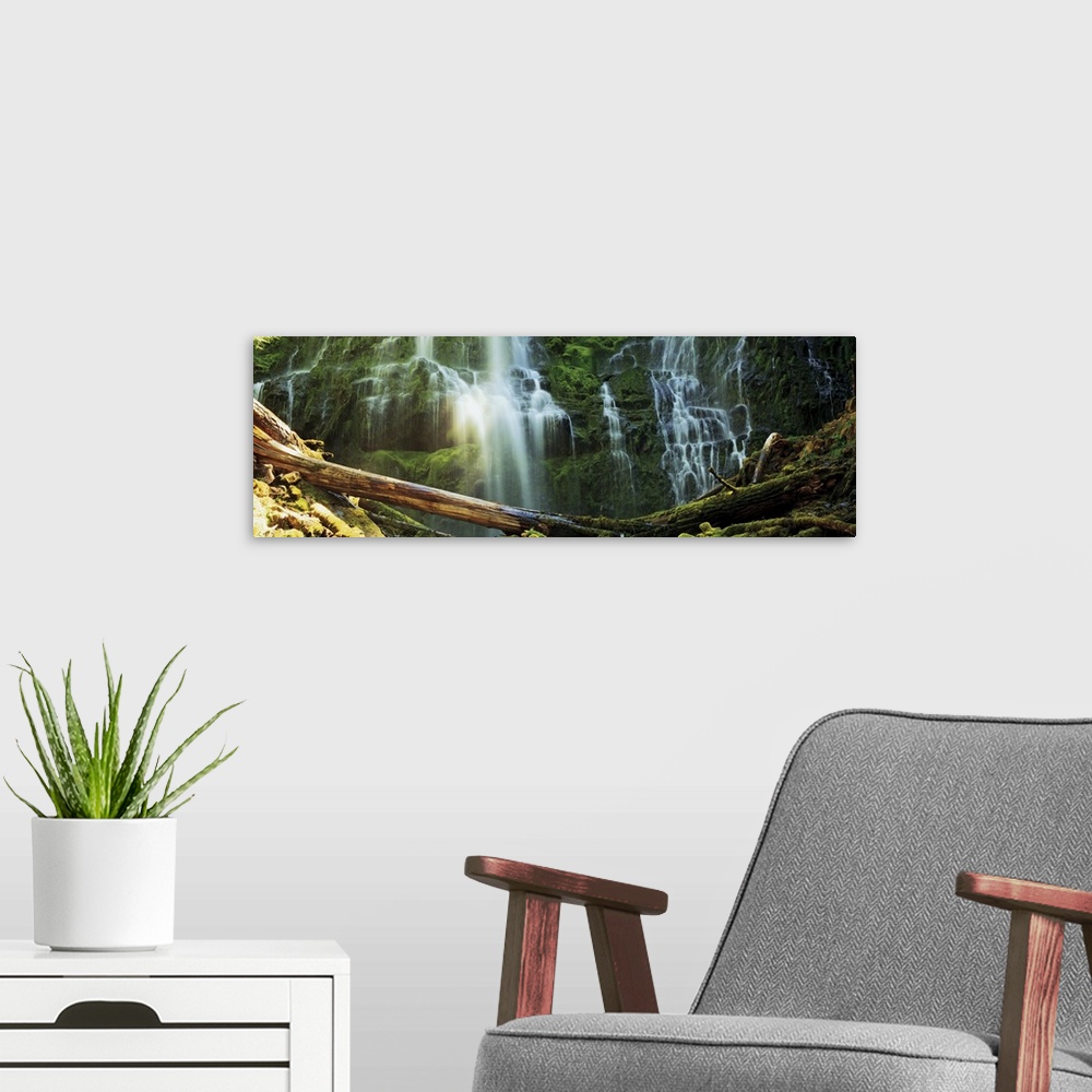 A modern room featuring Proxy Falls, Three Sisters Wilderness Area, Willamette National Forest, Oregon