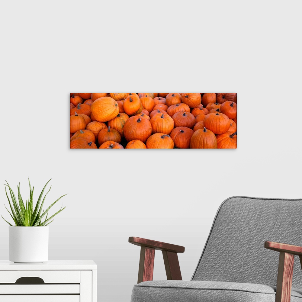A modern room featuring Pumpkins