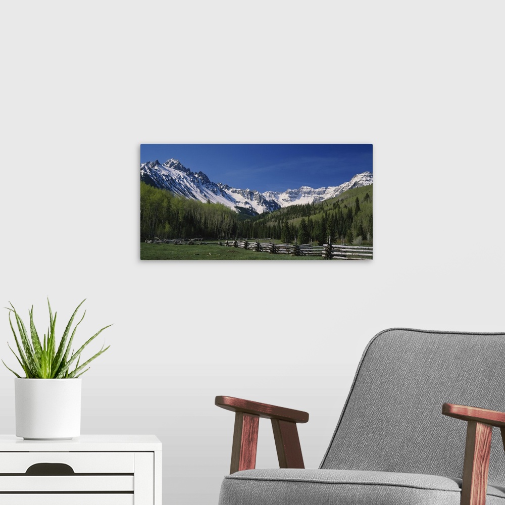 A modern room featuring Photo of a fenced field surrounded by a thick forest and mountain range in San Juan Mountains, Co...