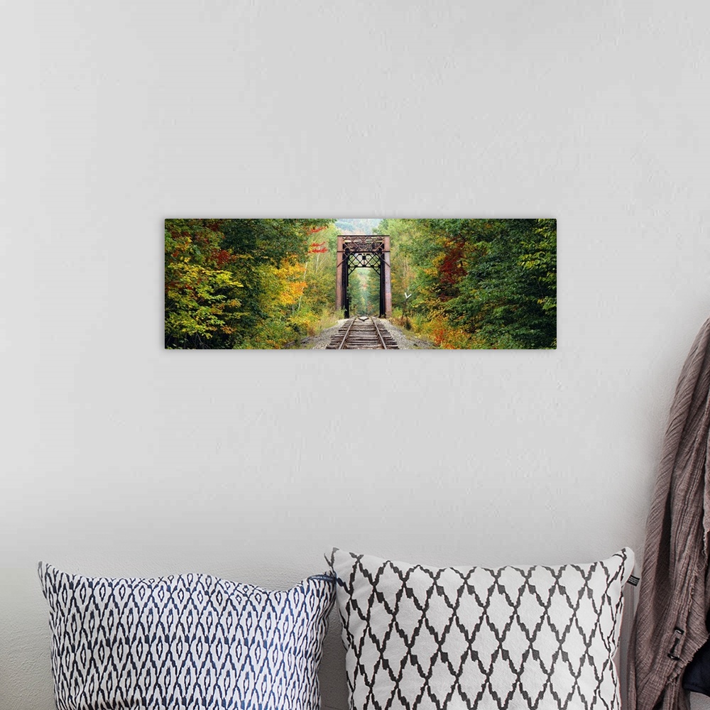 A bohemian room featuring Panoramic photograph of old railway running through forest.