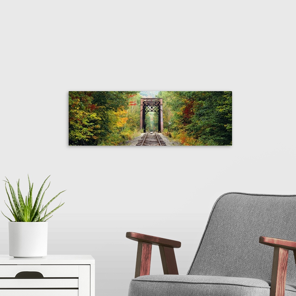 A modern room featuring Panoramic photograph of old railway running through forest.