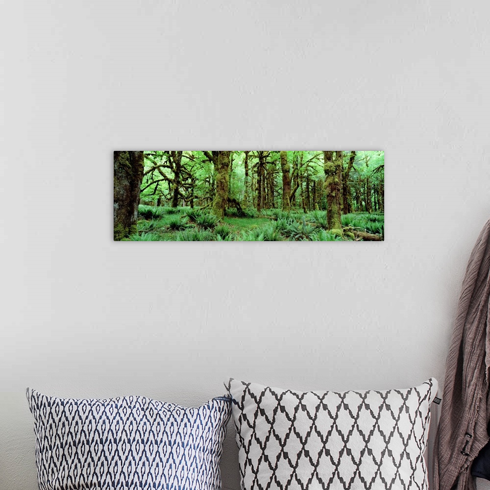 A bohemian room featuring Wide angle photograph on a big wall hanging of a dense, lush green rainforest full of trees cover...