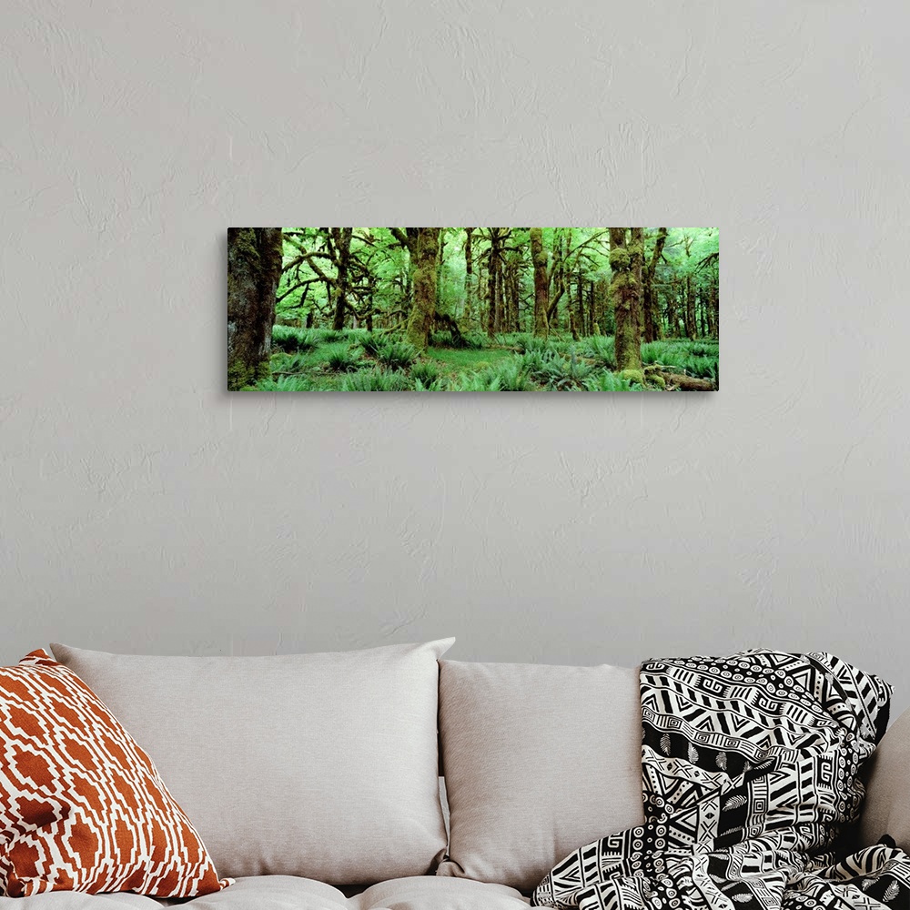 A bohemian room featuring Wide angle photograph on a big wall hanging of a dense, lush green rainforest full of trees cover...