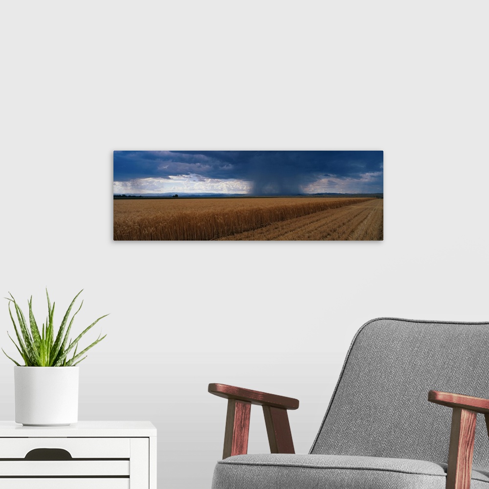 A modern room featuring Rain on Wheat Fields CO