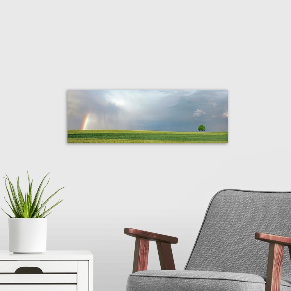 A modern room featuring Rainbow and Storm Clouds With Linden Tree Switzerland