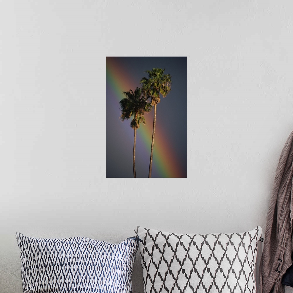 A bohemian room featuring Rainbow Behind Palm Trees