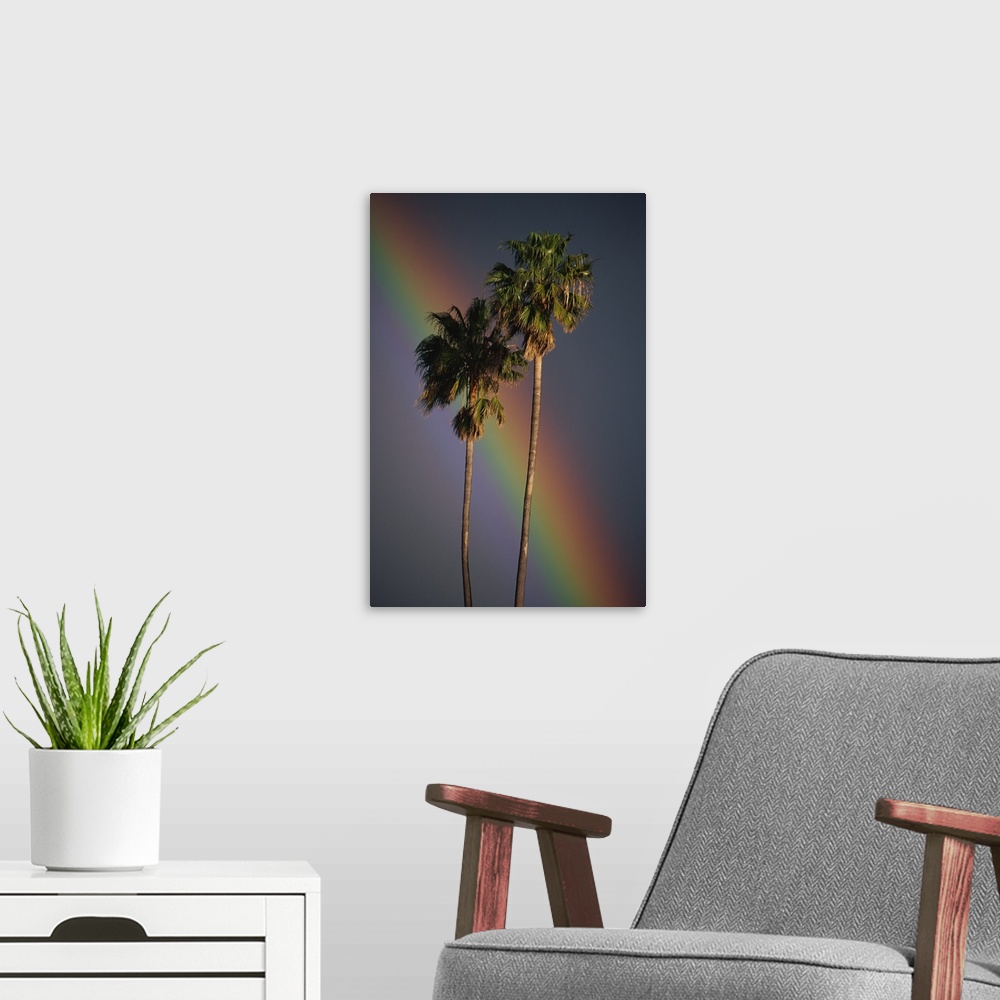 A modern room featuring Rainbow Behind Palm Trees