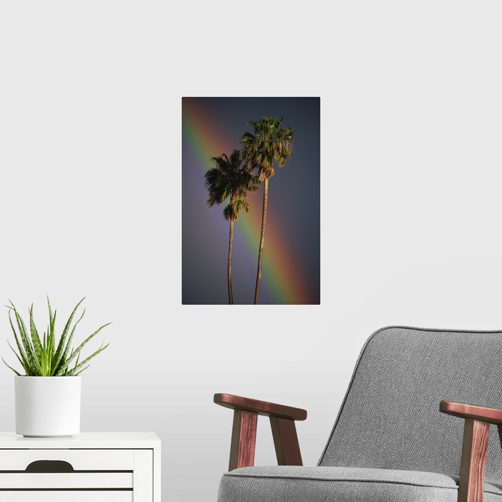 A modern room featuring Rainbow Behind Palm Trees