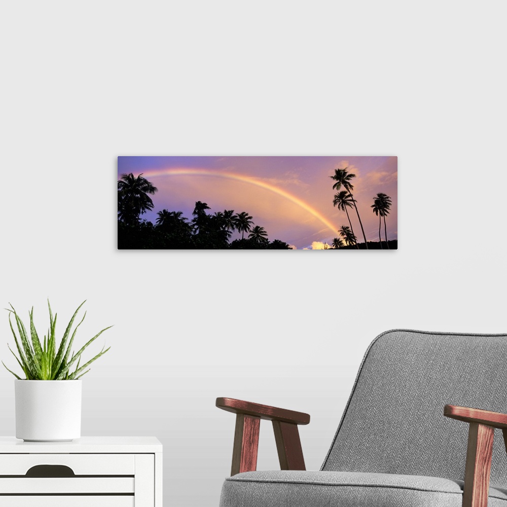 A modern room featuring Rainbow between palm trees at dusk, French Polynesia