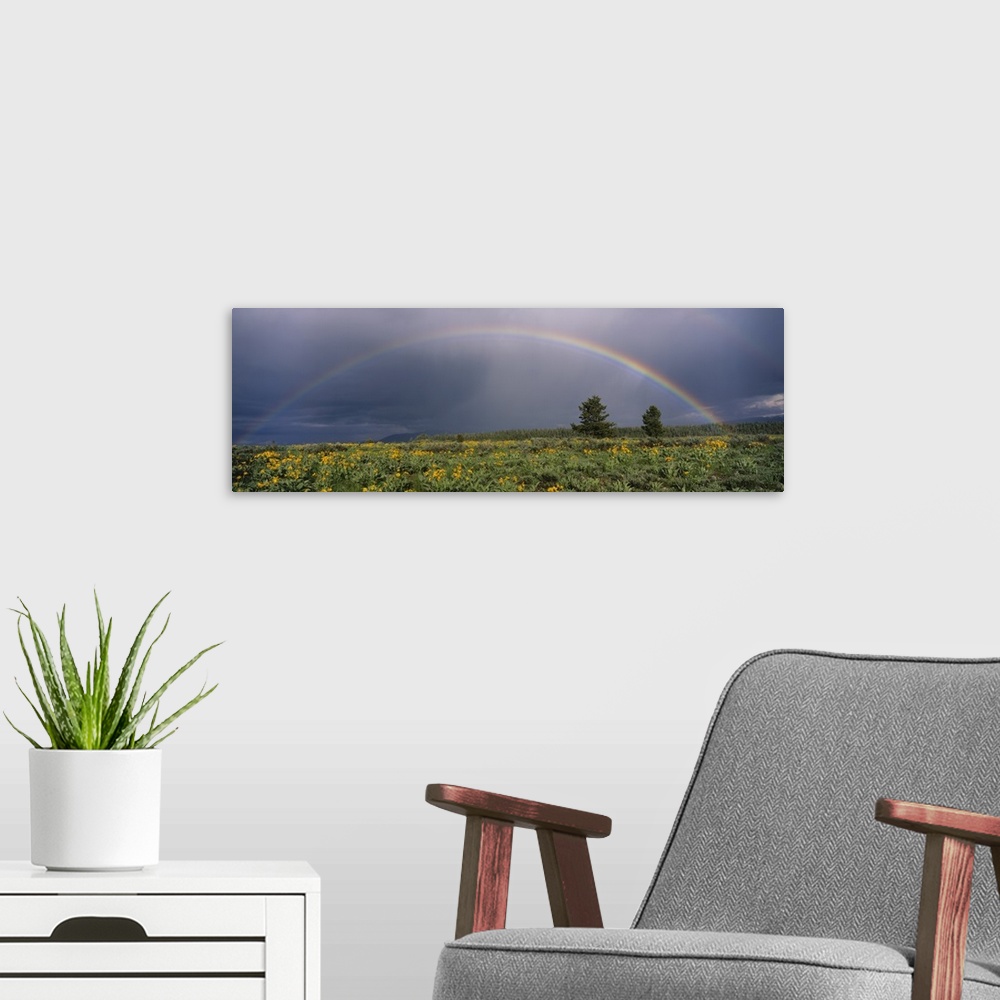 A modern room featuring Rainbow Grand Teton National Park WY
