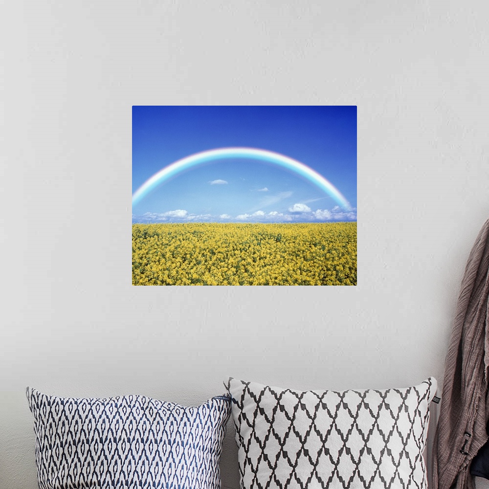 A bohemian room featuring Giant landscape photograph of a bright rainbow on the horizon, against a blue sky.  A field of go...