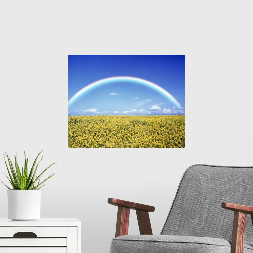 A modern room featuring Giant landscape photograph of a bright rainbow on the horizon, against a blue sky.  A field of go...