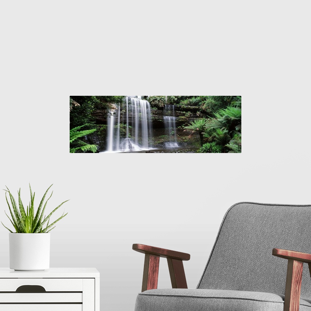A modern room featuring Panoramic photograph of water flowing over huge logs in the forest down into a lake of water.