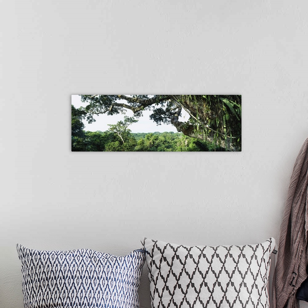 A bohemian room featuring Rainforest Oriente Ecuador