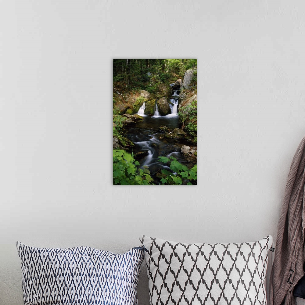 A bohemian room featuring Big, portrait photograph of Reany Falls surrounded by rocky terrain and lush, green forest in Mar...