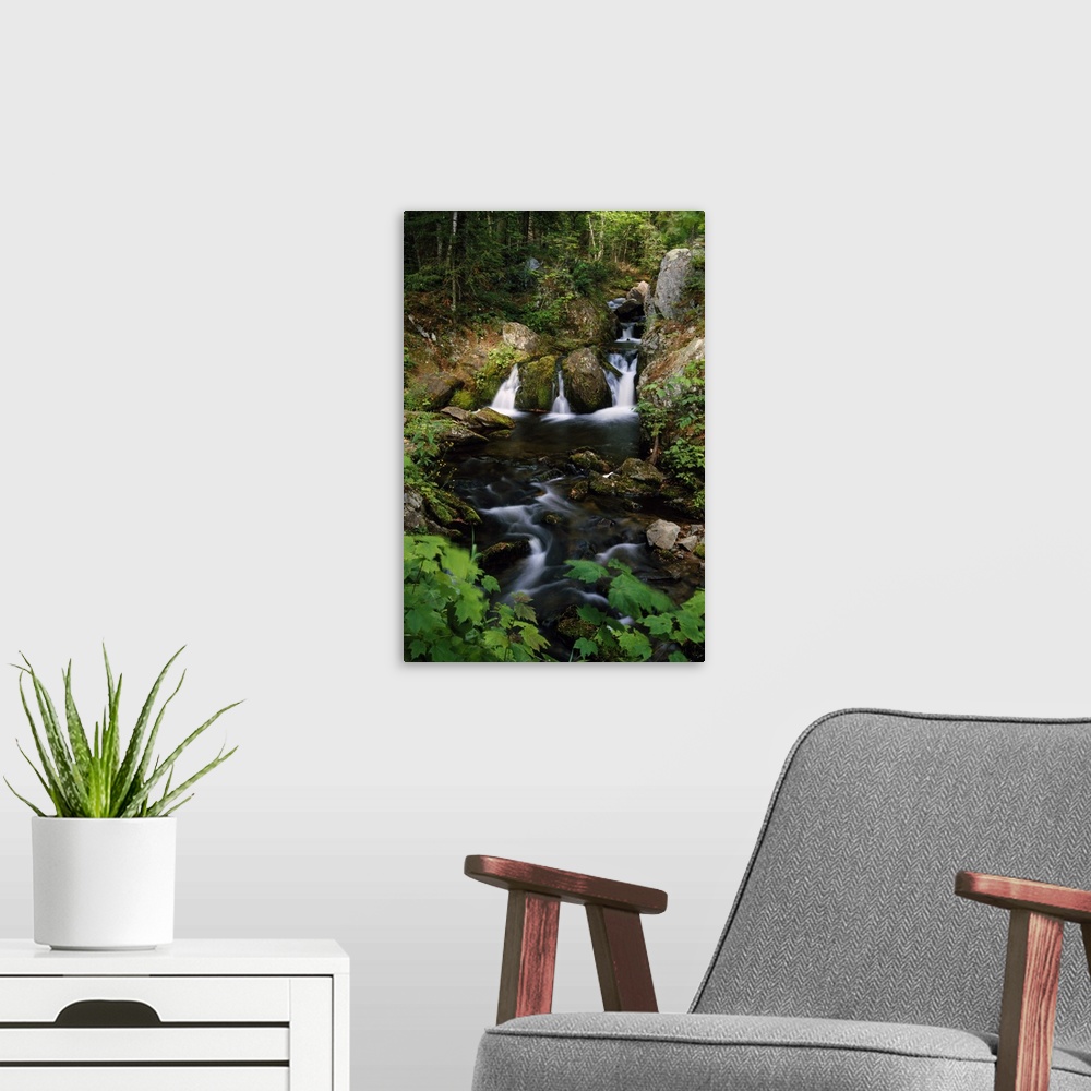 A modern room featuring Big, portrait photograph of Reany Falls surrounded by rocky terrain and lush, green forest in Mar...