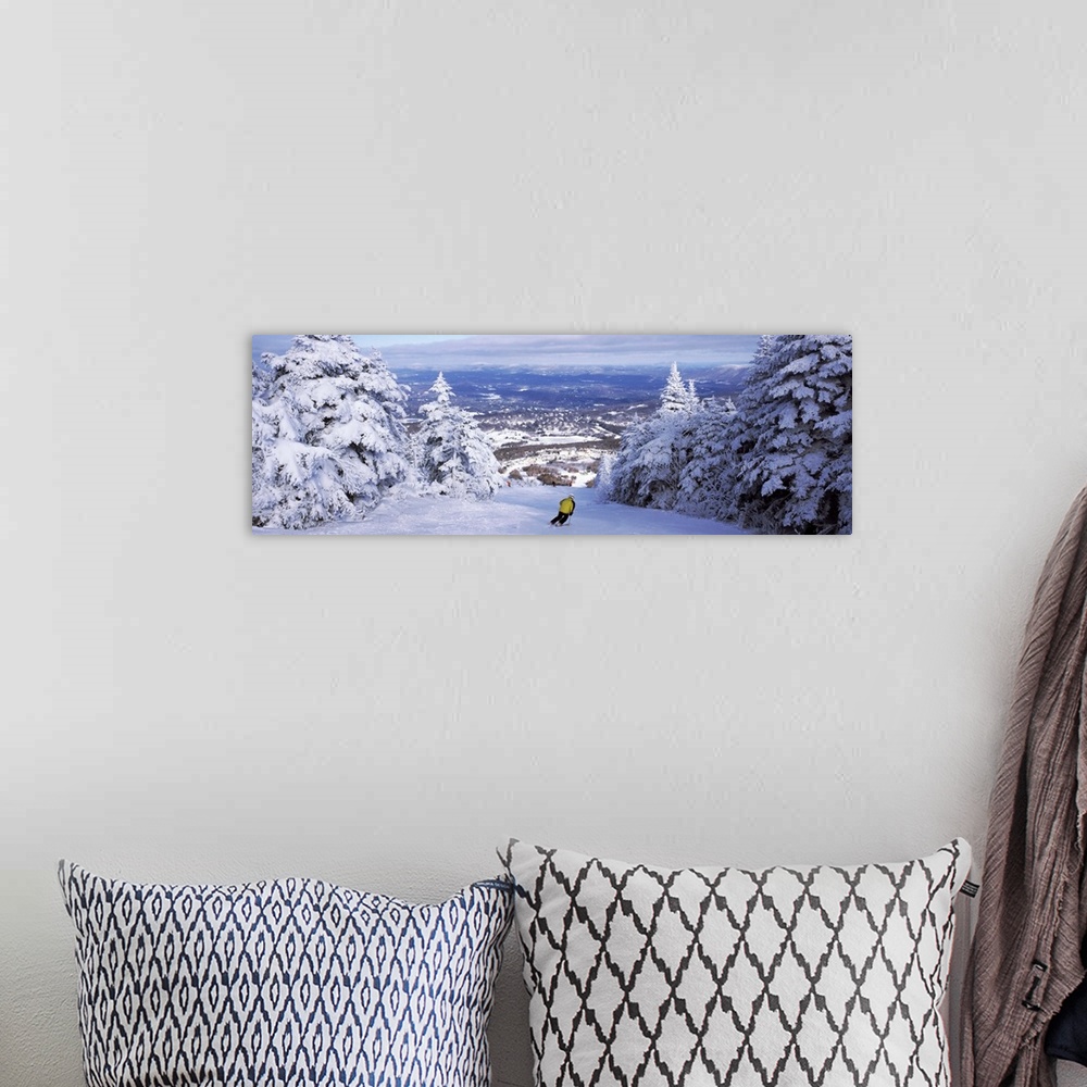 A bohemian room featuring Panoramic photograph of mountain slope lined with snow covered trees under a cloudy sky.